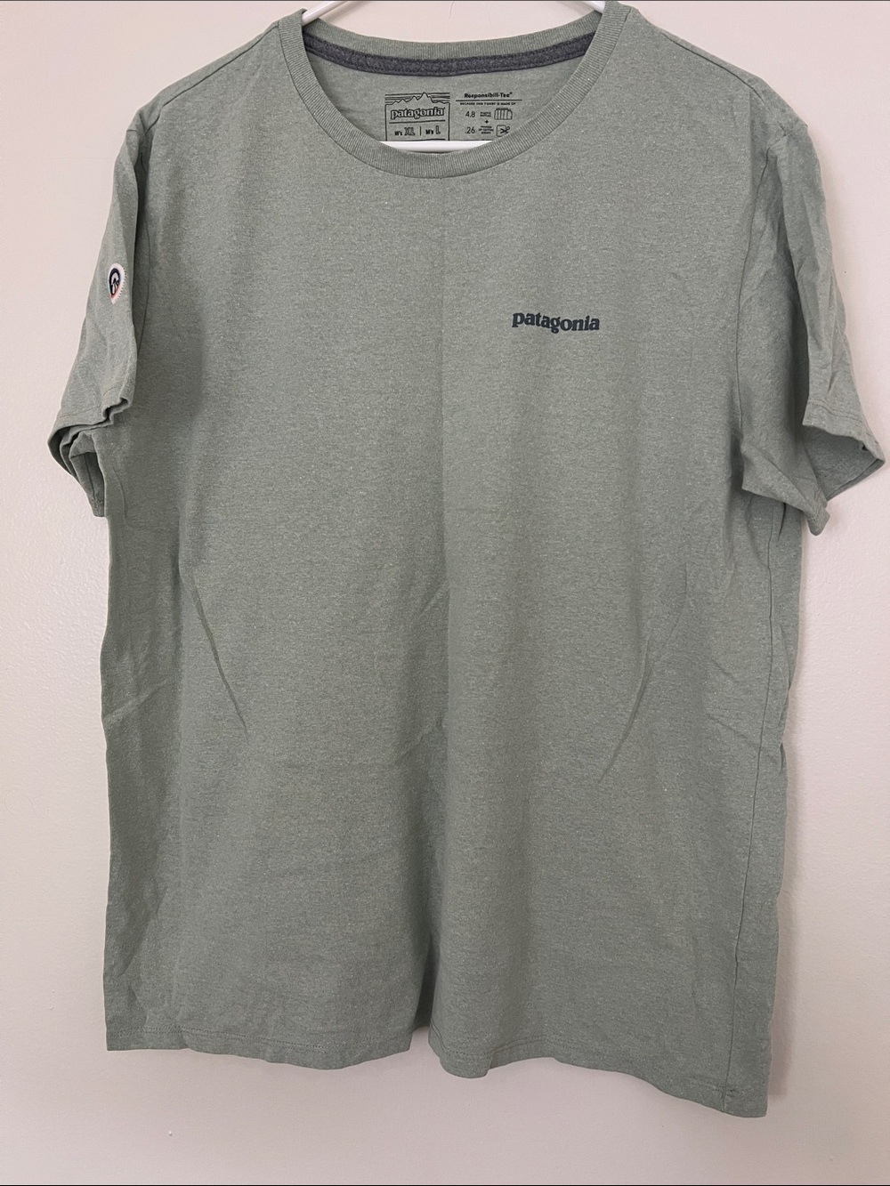 Patagonia Short-Sleeve Crew Tee in Sage Green